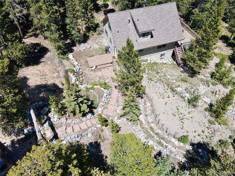 Single Family Residence in Fairplay CO 1606 Bobcat Lane 13.jpg
