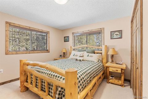 Single Family Residence in Fairplay CO 1606 Bobcat Lane 10.jpg