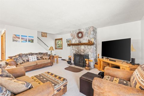 Single Family Residence in Fairplay CO 1606 Bobcat Lane 6.jpg