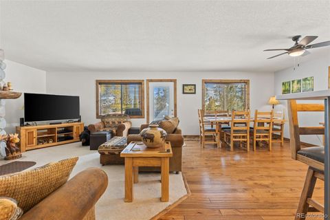 Single Family Residence in Fairplay CO 1606 Bobcat Lane 4.jpg
