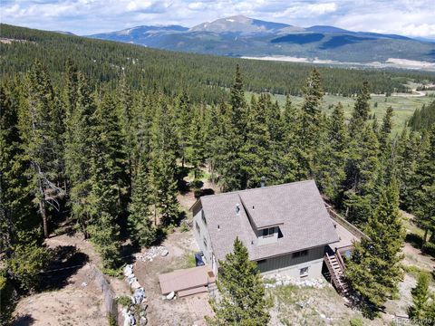 Single Family Residence in Fairplay CO 1606 Bobcat Lane 21.jpg