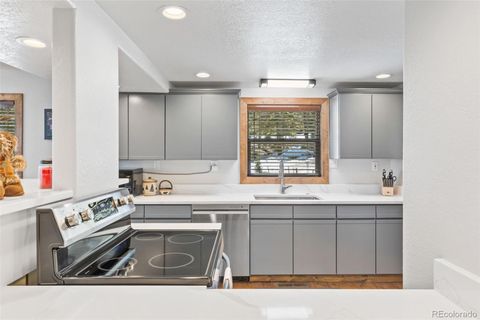 Single Family Residence in Fairplay CO 1606 Bobcat Lane 1.jpg