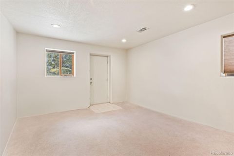 Single Family Residence in Fairplay CO 1606 Bobcat Lane 28.jpg