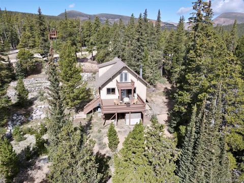Single Family Residence in Fairplay CO 1606 Bobcat Lane 7.jpg