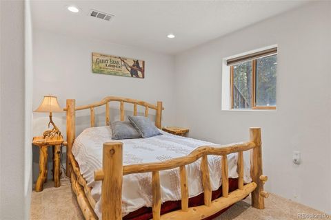 Single Family Residence in Fairplay CO 1606 Bobcat Lane 25.jpg