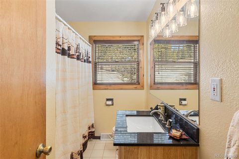 Single Family Residence in Fairplay CO 1606 Bobcat Lane 8.jpg