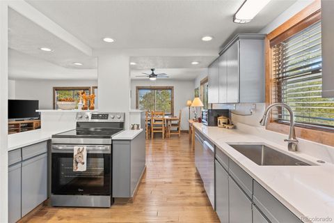 Single Family Residence in Fairplay CO 1606 Bobcat Lane.jpg