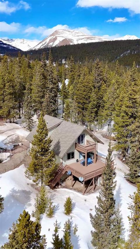 Single Family Residence in Fairplay CO 1606 Bobcat Lane 36.jpg