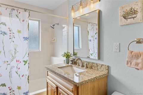 Single Family Residence in Fairplay CO 1606 Bobcat Lane 20.jpg
