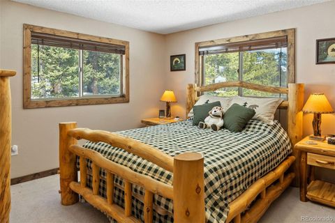Single Family Residence in Fairplay CO 1606 Bobcat Lane 9.jpg