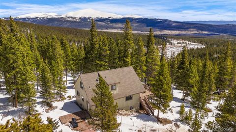 Single Family Residence in Fairplay CO 1606 Bobcat Lane 33.jpg