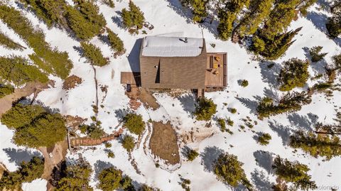 Single Family Residence in Fairplay CO 1606 Bobcat Lane 22.jpg