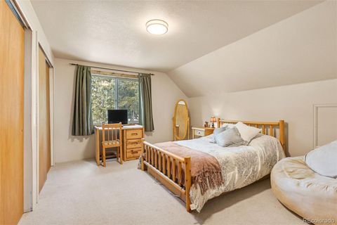Single Family Residence in Fairplay CO 1606 Bobcat Lane 19.jpg
