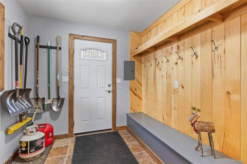 Single Family Residence in Fairplay CO 1606 Bobcat Lane 29.jpg