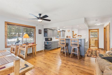 Single Family Residence in Fairplay CO 1606 Bobcat Lane 3.jpg
