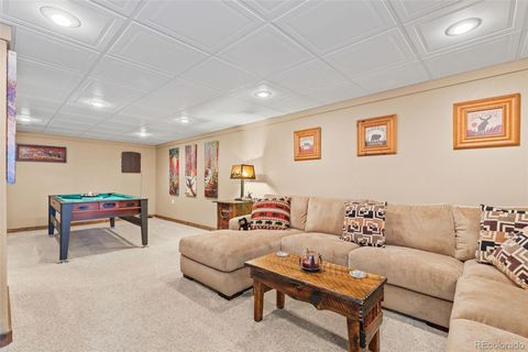 Single Family Residence in Fairplay CO 1606 Bobcat Lane 23.jpg