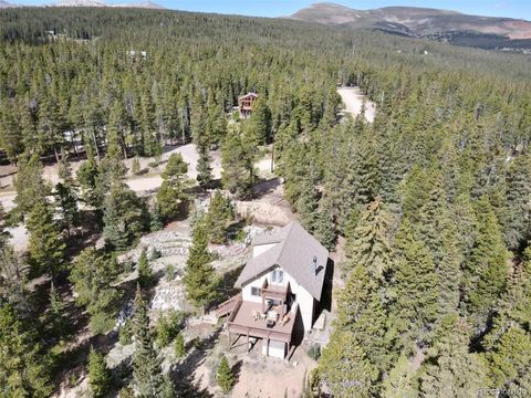 Single Family Residence in Fairplay CO 1606 Bobcat Lane 30.jpg