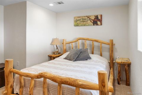 Single Family Residence in Fairplay CO 1606 Bobcat Lane 26.jpg
