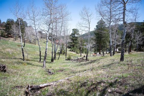 Unimproved Land in Evergreen CO TBD Pine Valley Road.jpg