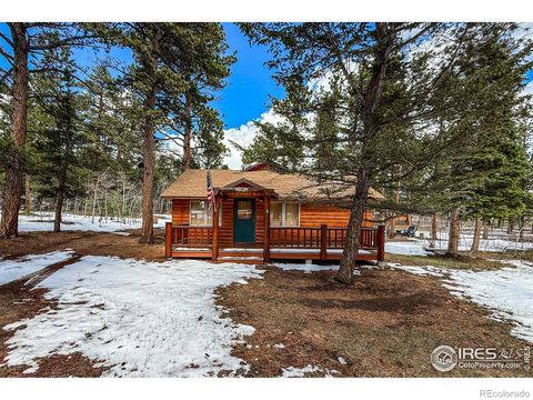 Single Family Residence in Allenspark CO 6 Norske Trail.jpg