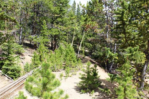 Unimproved Land in Idaho Springs CO Group 2-1 Lamertine Road.jpg