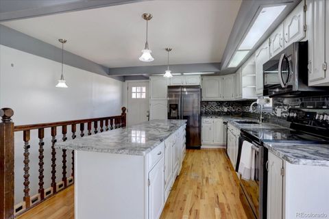 Single Family Residence in Denver CO 1641 Orchard Drive 3.jpg