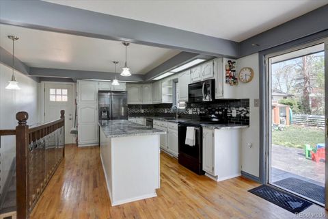 Single Family Residence in Denver CO 1641 Orchard Drive 4.jpg