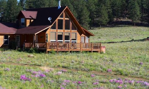 Single Family Residence in Lake George CO 39858 Us-24.jpg