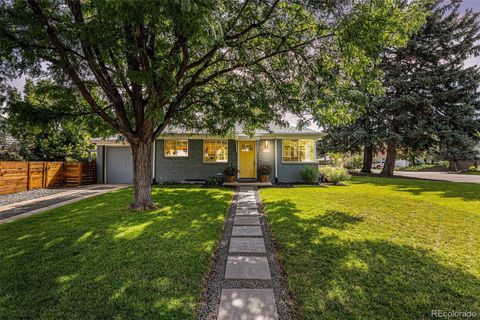 Single Family Residence in Denver CO 1100 Ivanhoe Street.jpg
