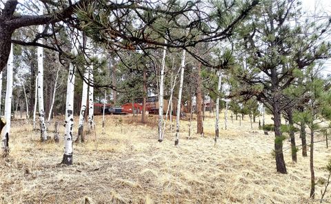 Single Family Residence in Florissant CO 103 Adair Circle.jpg