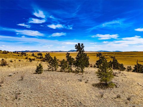 Unimproved Land in Hartsel CO 102 Pack Saddle Court.jpg