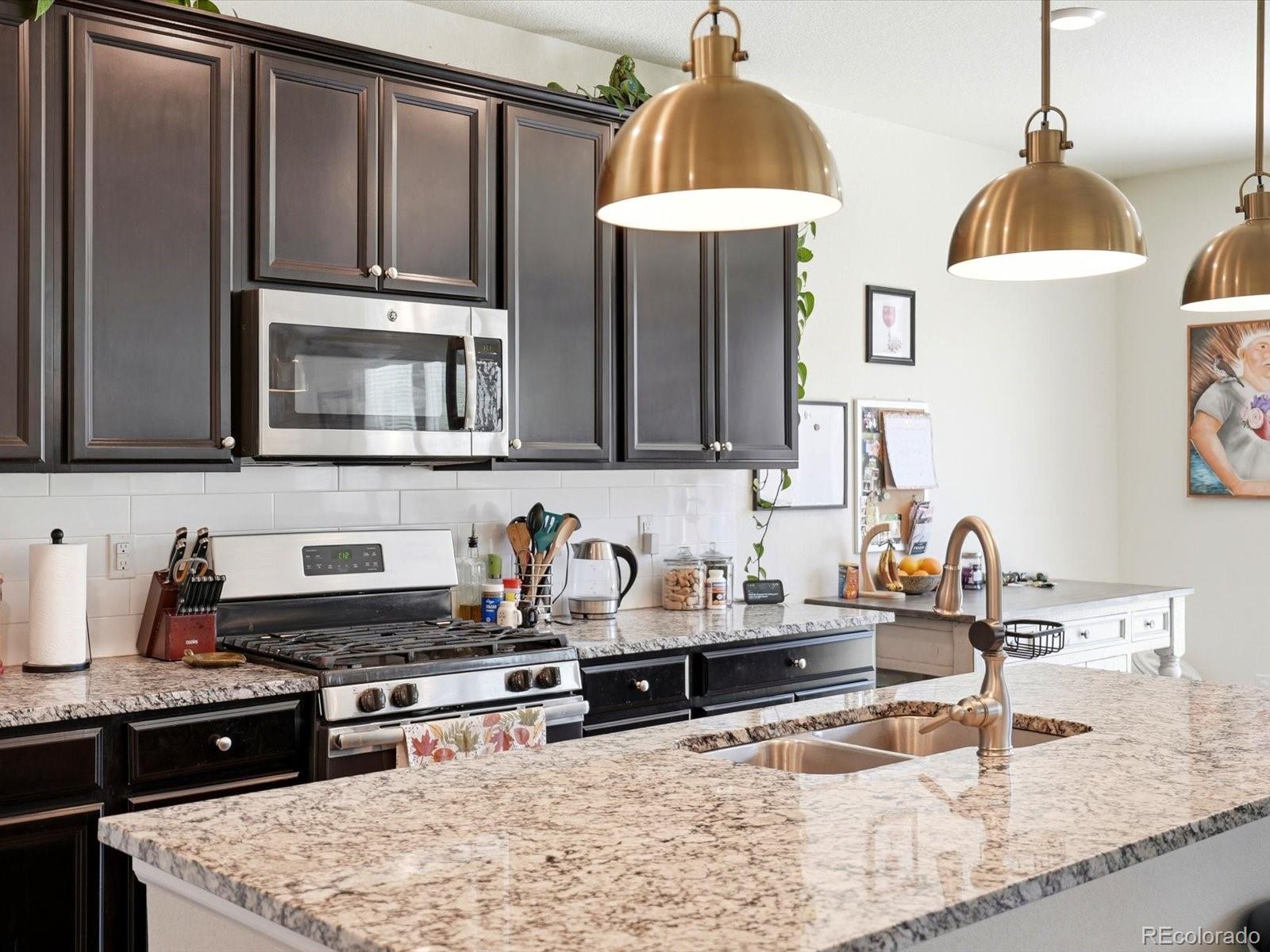15006 Vienna Cir, Parker, CO 80134 photo