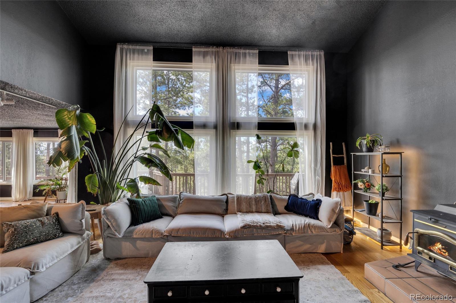 9805 Deerfield Rd, Franktown, CO 80116 photo