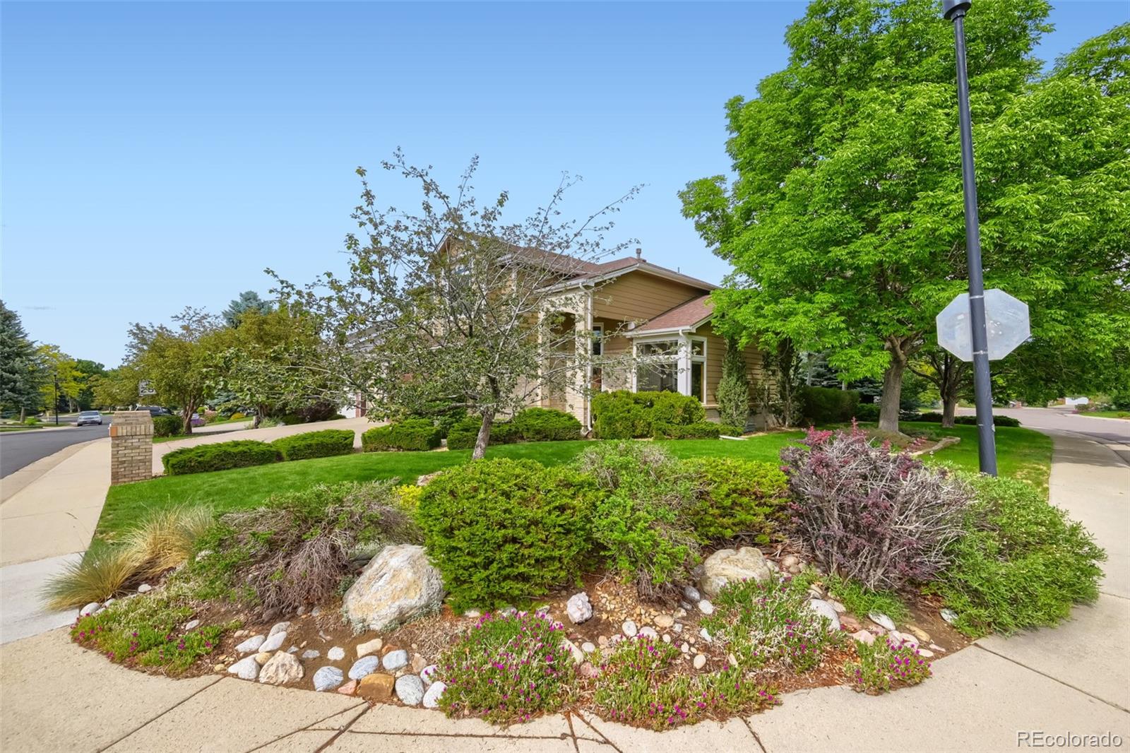603 Columbine Ave, Broomfield, CO 80020 photo