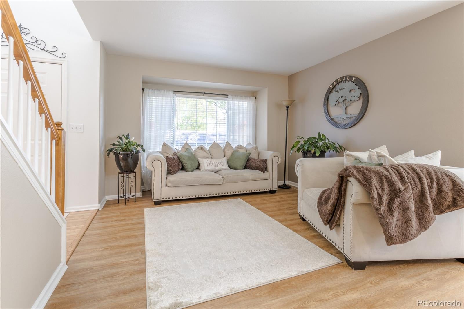 11825 Gray Ct, Broomfield, CO 80020 photo