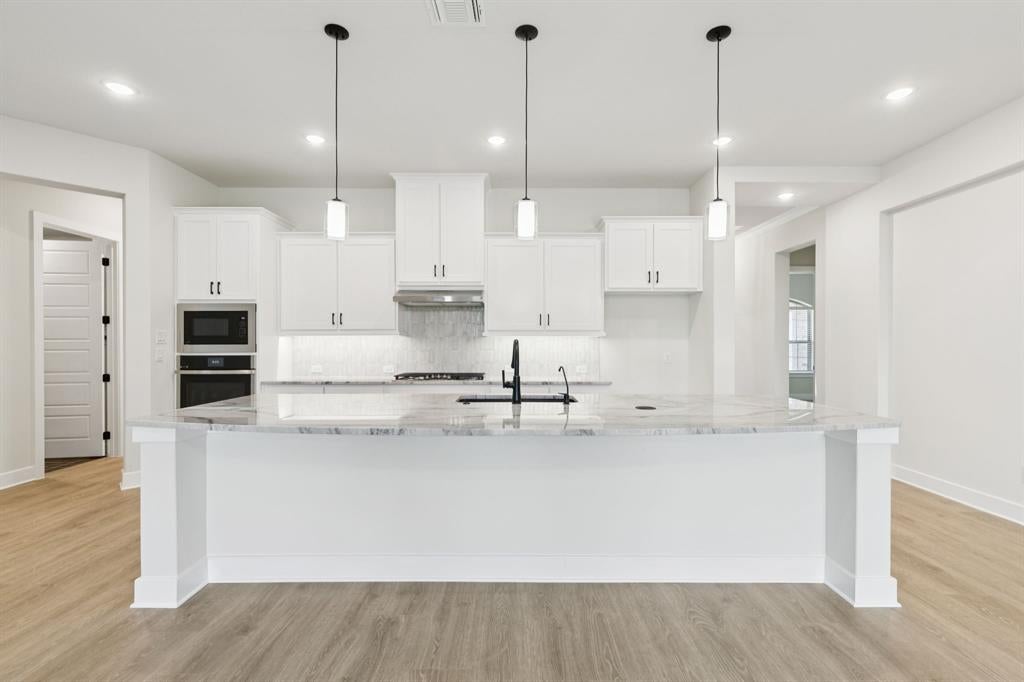224 Bee Balm Rd, Mckinney, TX 75071 photo