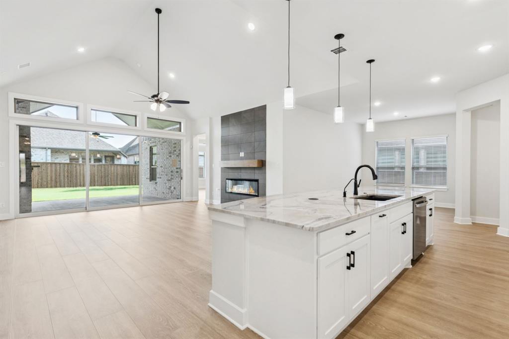 224 Bee Balm Rd, Mckinney, TX 75071 photo