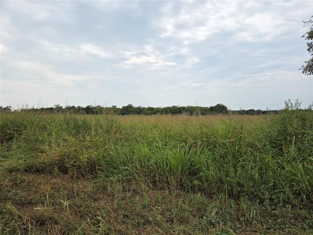 Honey Grove, TX 75446