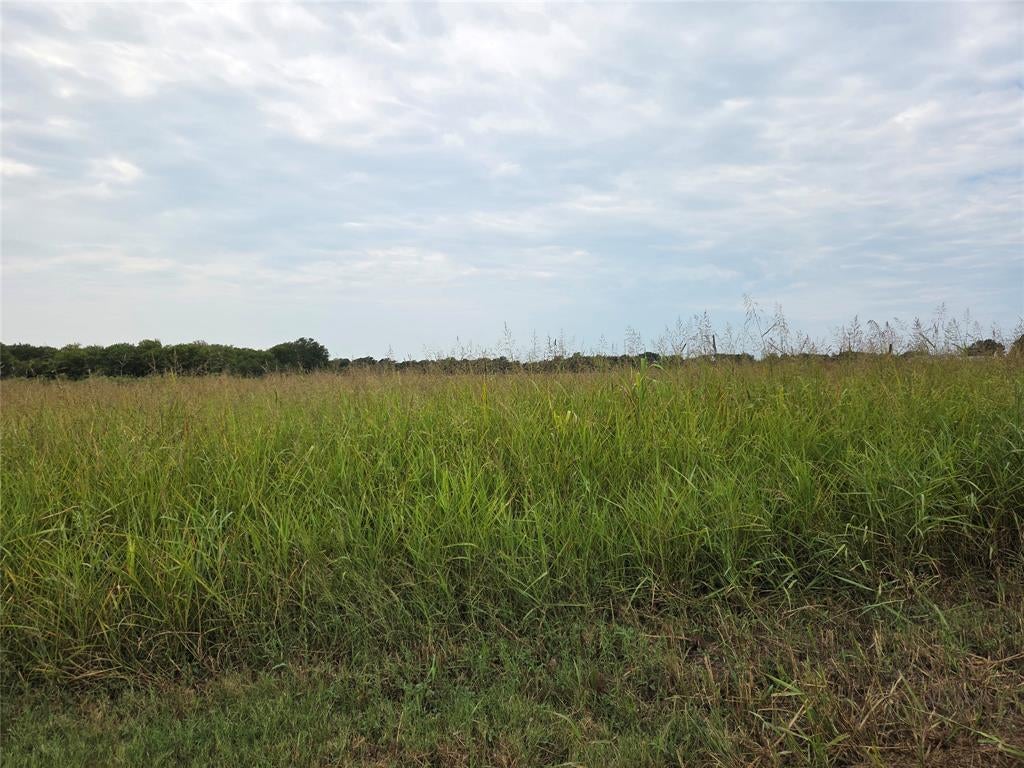 Honey Grove, TX 75446 photo