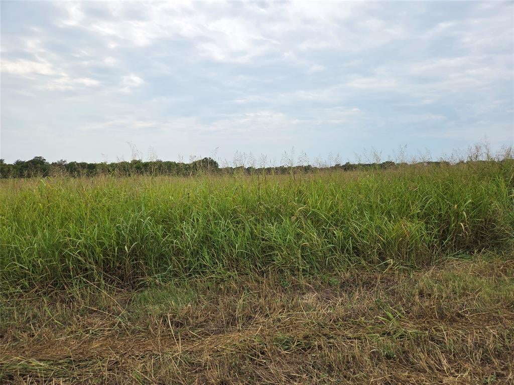 Honey Grove, TX 75446 photo
