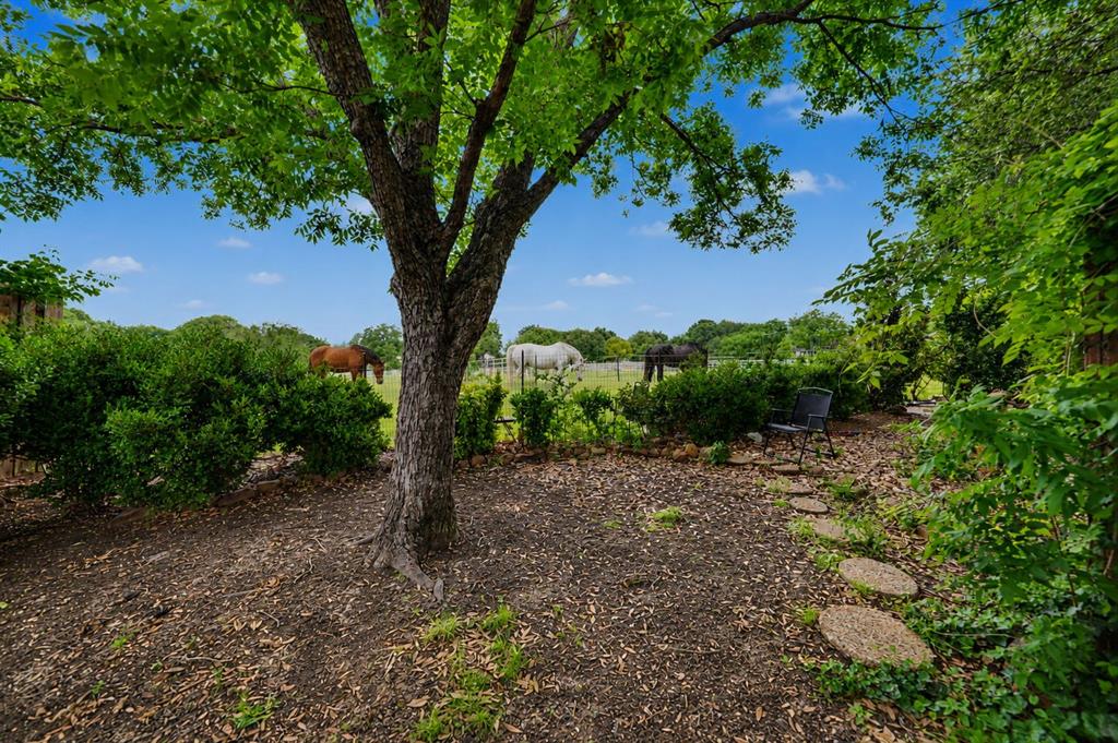 1905 Lakeway Dr, Rowlett, TX 75088
