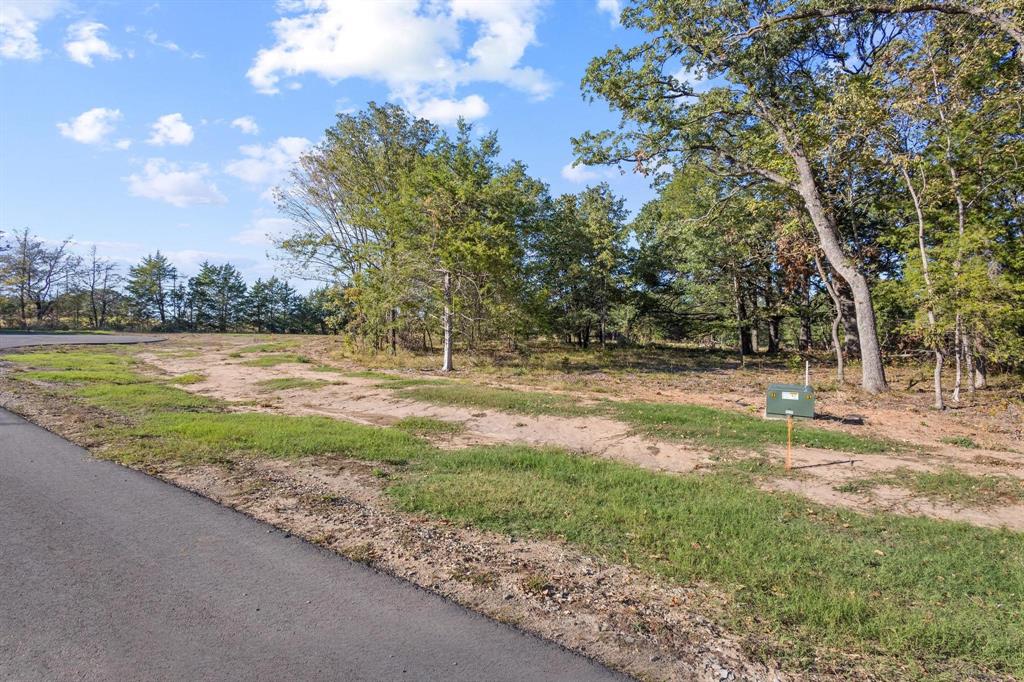 425 Wildflower Way, Dodd City, TX 75438 photo