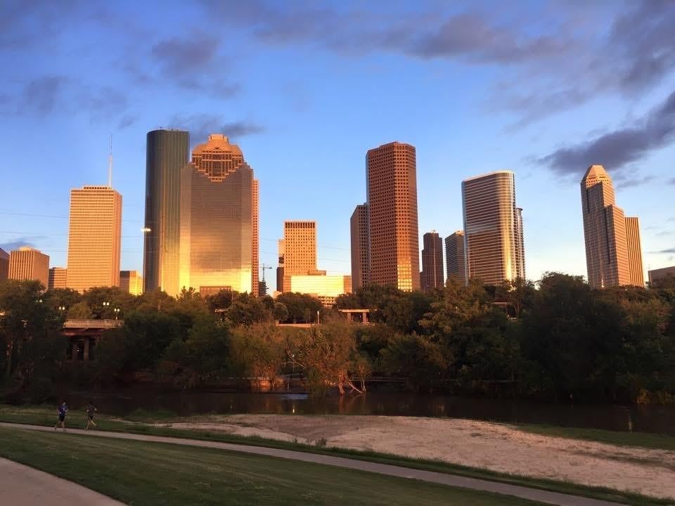 3311 Bremond St, Houston, TX 77004 photo