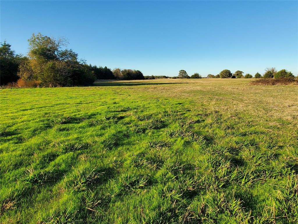 3721 Farm To Market Road 1396 E, Ivanhoe, TX 75447 photo