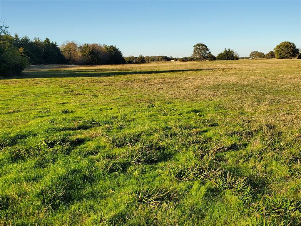 3721 Farm To Market Road 1396 E, Ivanhoe, TX 75447 photo