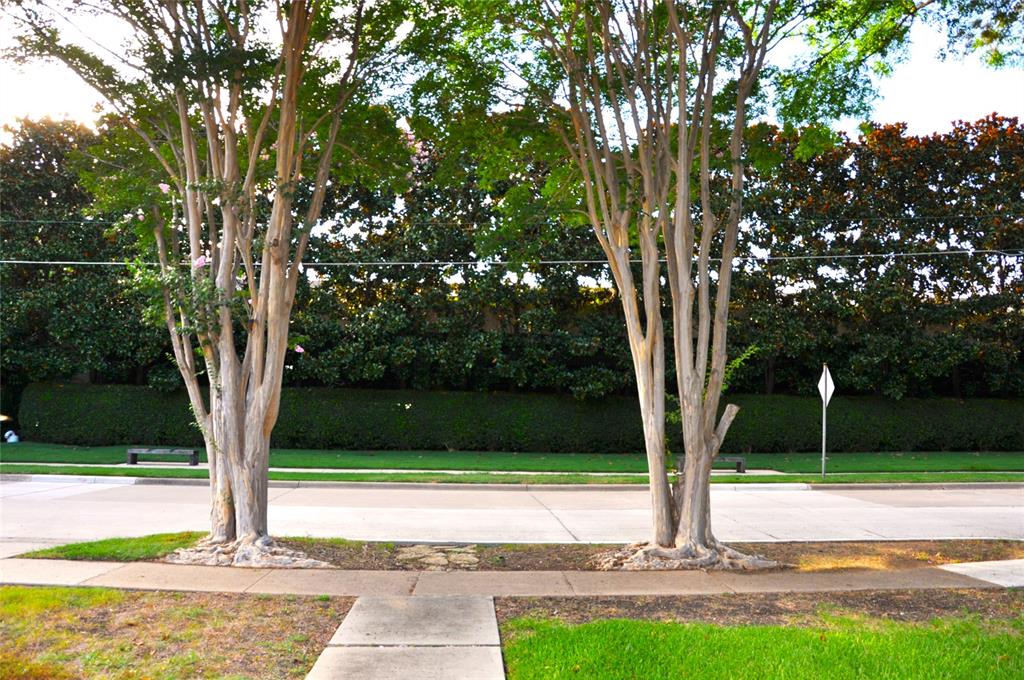8722 Angora St, Dallas, TX 75218 photo