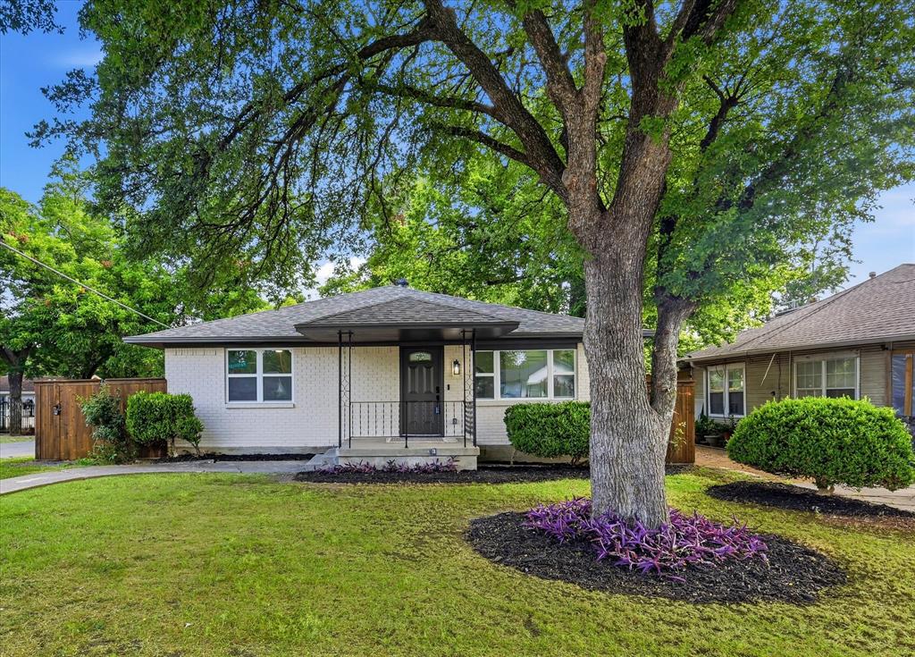 523 Martinique Ave, Dallas, TX 75223 photo