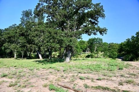 Unimproved Land in Springtown TX Lot 67 Camden Lane.jpg