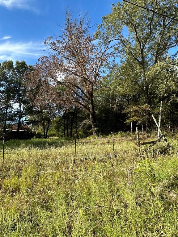234 Private Road 34615, Sumner, TX 75486 photo