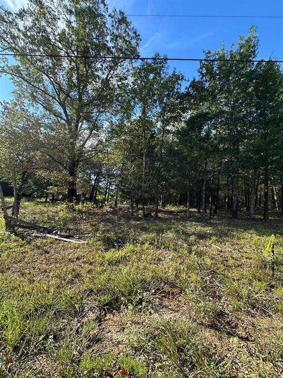 234 Private Road 34615, Sumner, TX 75486 photo